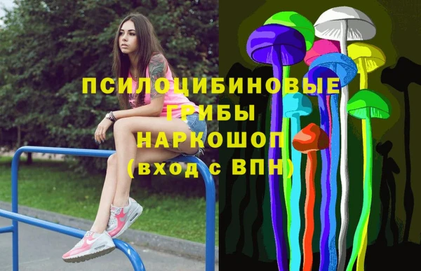 мдпв Балахна