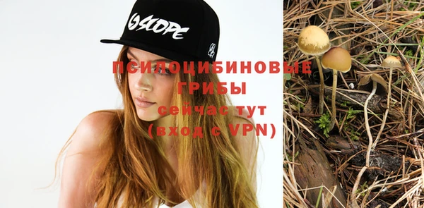 Альфа ПВП Балабаново